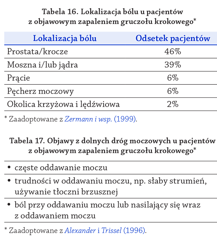 Tabela 16. Lokalizacja bólu u pacjentów